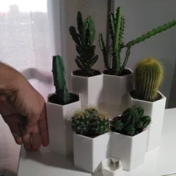 Cactus pot with water reserve