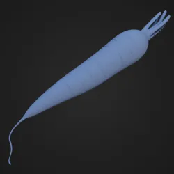 Carrots