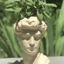 David Head Planter