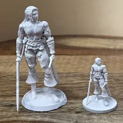 Dual Wielding Female Elven Ranger d&d elf