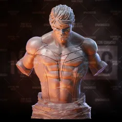 Fan Art Nightwing - Bust