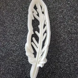 Feather