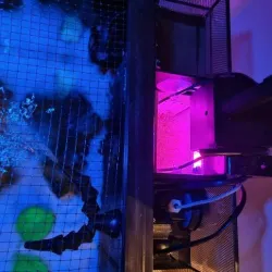 Fluval SEA Evo Refugium + Light Chamber 2