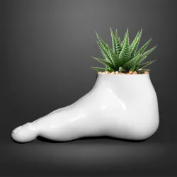 Foot