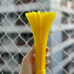 Formula E 2023 Trophy Race Winner