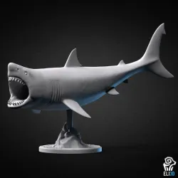 Great White Shark Attacking - Animal