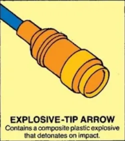 Hawkeye Set -  Explosive Tip Arrow