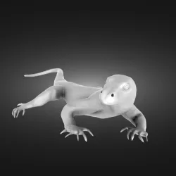 Komodo dragon