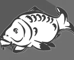 led lamp of a carp