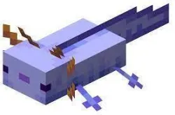 Minecraft Blue Axolotl