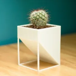 Pot