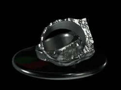 PRIMAL RING