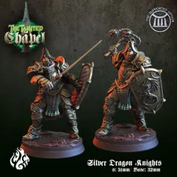 Silver Dragon Knights