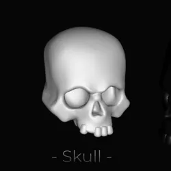 Skull