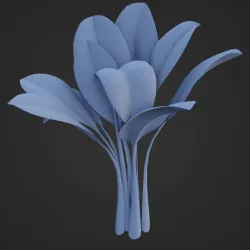 Spinach