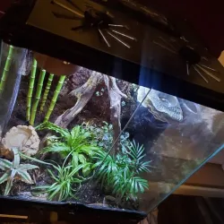 terrarium humidity controller