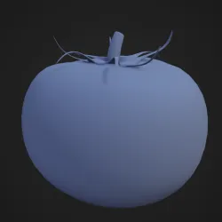 Tomato