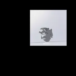 3d peter