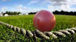 Cricket ball