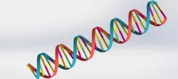 DNA Strand Double Helix