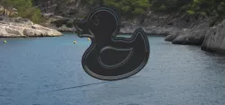 duck