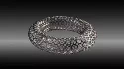 Fusion Frame Ring Prototype