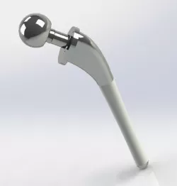 Hip replacement joint