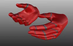 Jarde Dummyhand