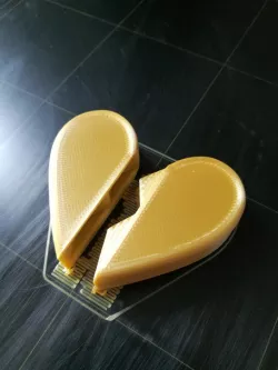 Magnetic Heart