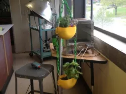 Modular Hydroponics System