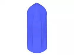 whale