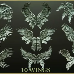 10 Wings