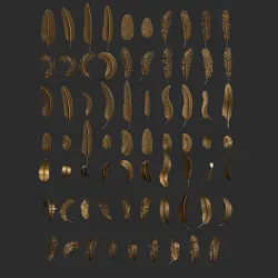 69 Feather Set