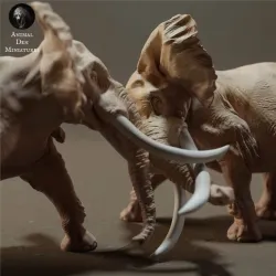 African Bush Elephant Bulls Fight