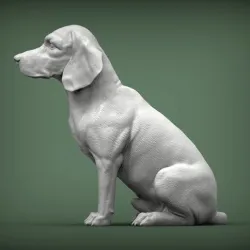 Beagle 3D print model