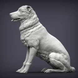 Central asian shepherd dog 3D print model