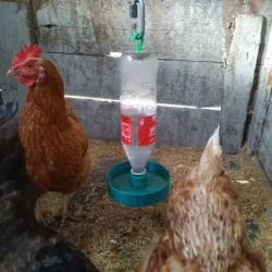 Chicken waterer for PET bottle