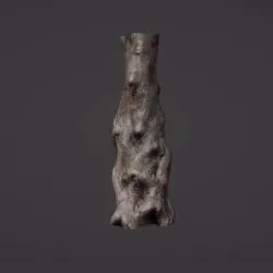 DAWN REDWOOD TREE TRUNK VASE FOR REMIXING and Ogre Mace