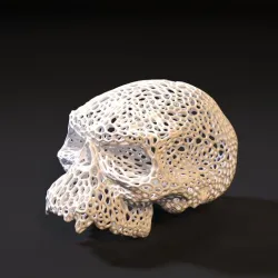 Gul'dan Skull