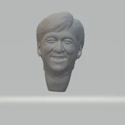 Jackie Chan Head 3D print model