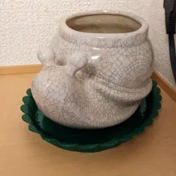 Leafy Planter Plate