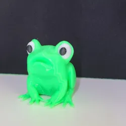 Little Frog (confused or angry frog)