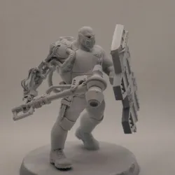 Ogryn Warrior