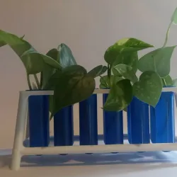 Propagation station with 12 test tubes