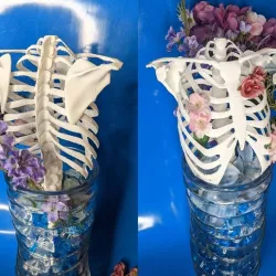 Ribcage Trellis w/ shoulder blades