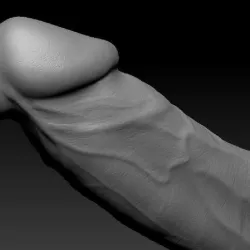 Sexy Dildo 3D Print Model