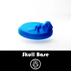 Skull Base