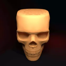SKULL (PEN HOLDER)