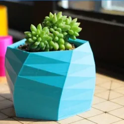 Succulent Pot Mold Pot Mold
