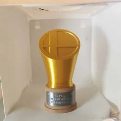 SUPER SMASH BROS TROPHY